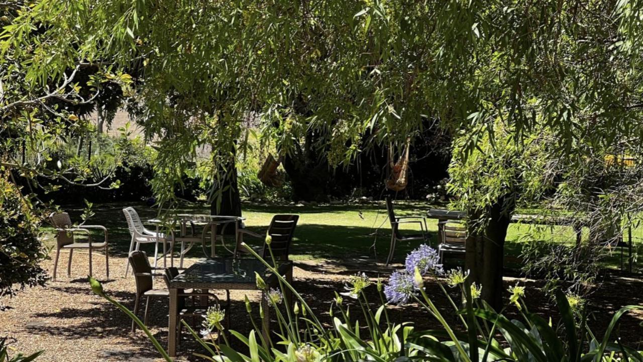 In The Vine Country Manor Guesthouse Municipalità locale di Municipalità locale di Stellenbosch Esterno foto