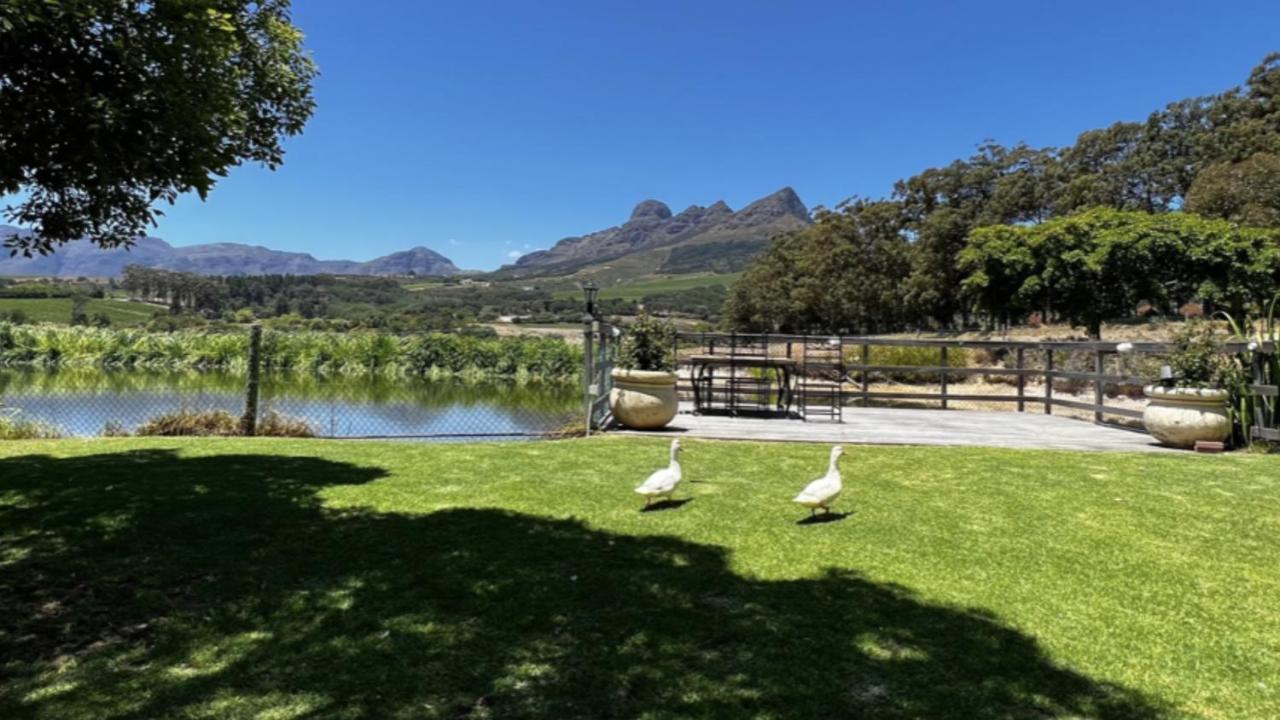 In The Vine Country Manor Guesthouse Municipalità locale di Municipalità locale di Stellenbosch Esterno foto