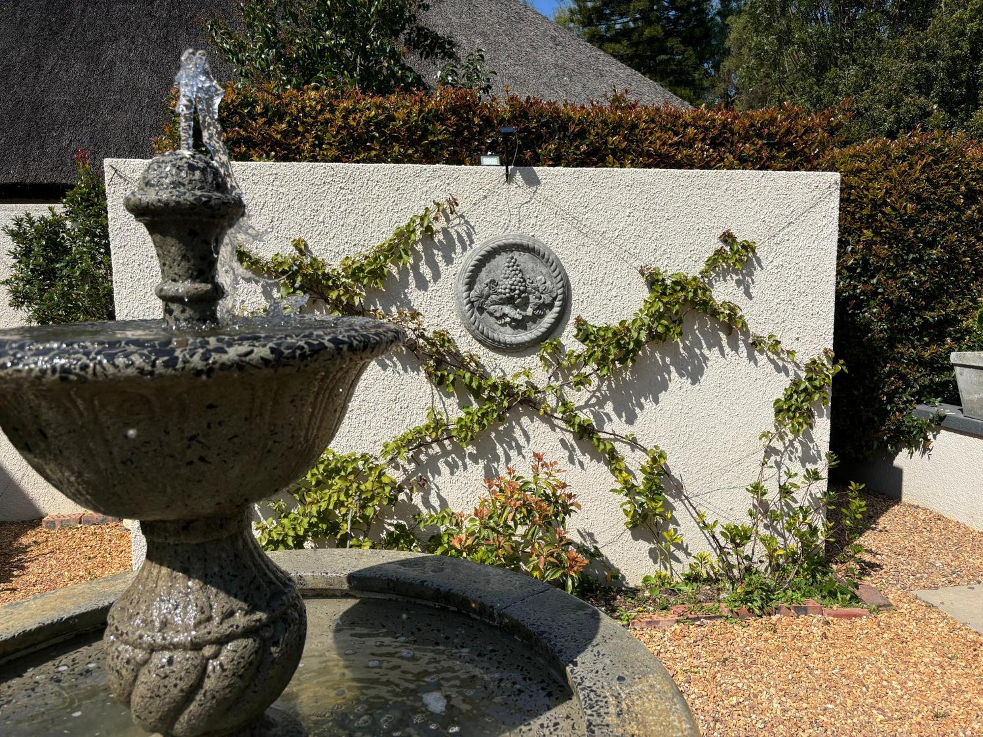 In The Vine Country Manor Guesthouse Municipalità locale di Municipalità locale di Stellenbosch Esterno foto