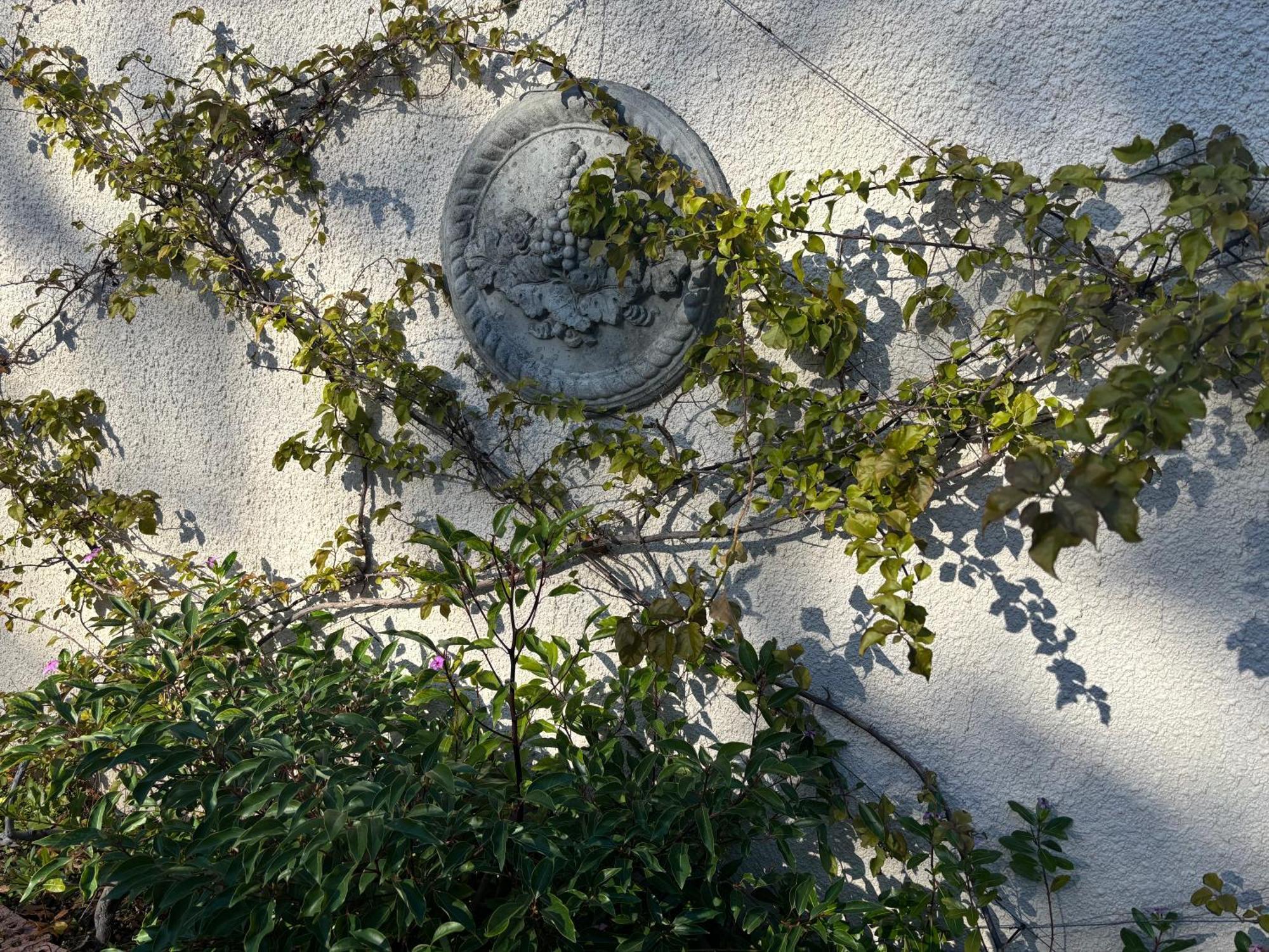 In The Vine Country Manor Guesthouse Municipalità locale di Municipalità locale di Stellenbosch Esterno foto